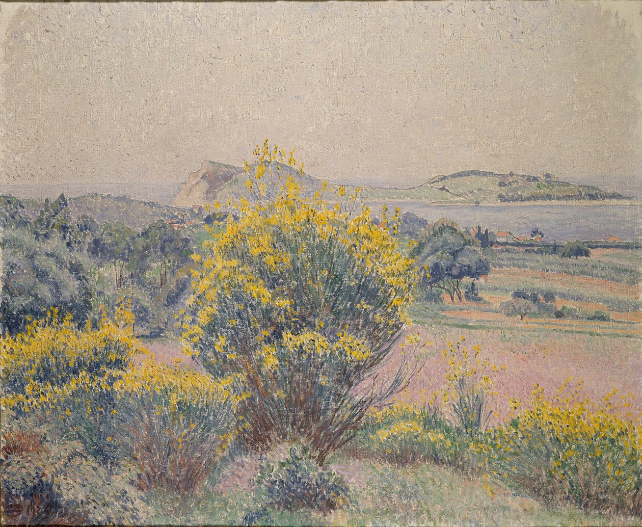 Broom, Le Brusq, 1925 od Lucien Pissarro