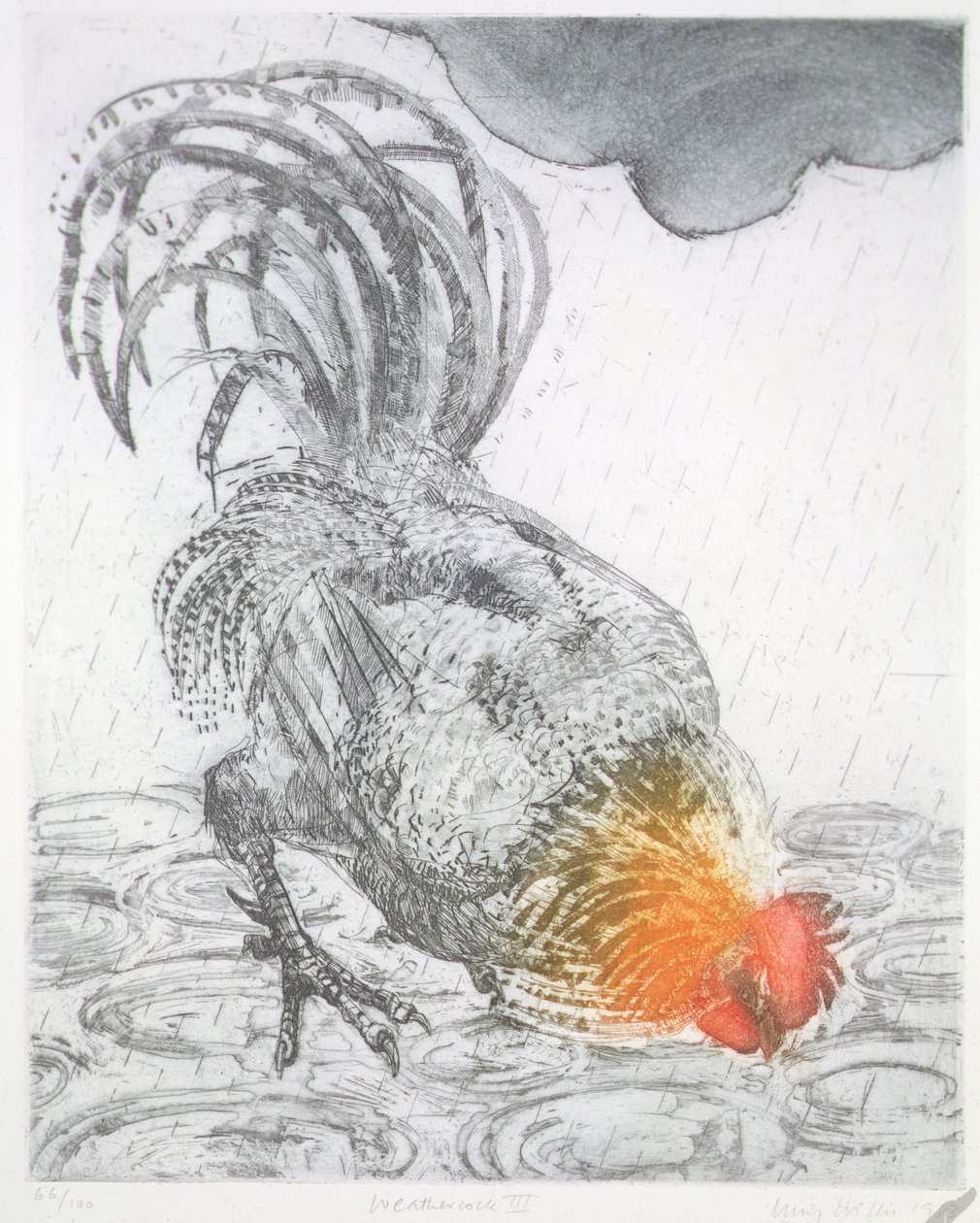 Weathercock II, 1983 (lept na papíře) od Lucy Willis