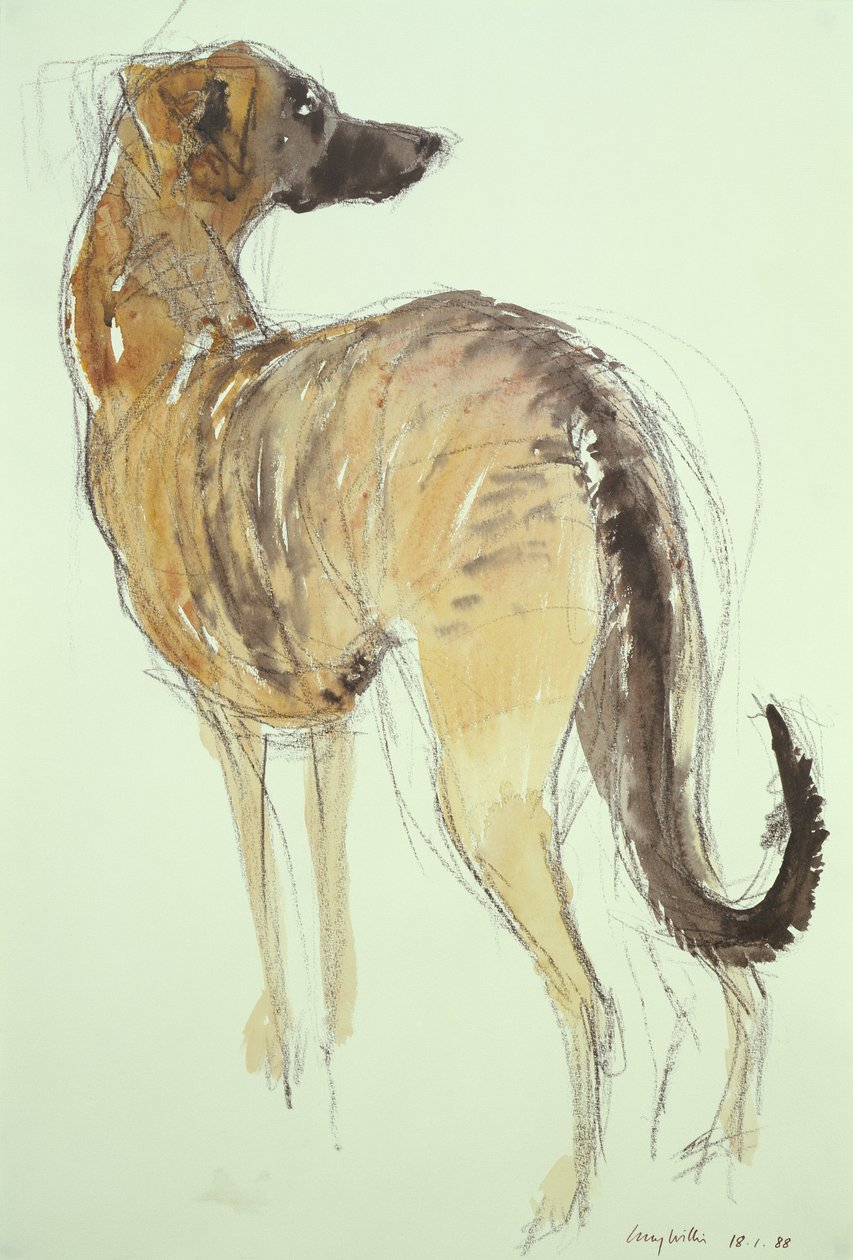Lurcher stojící od Lucy Willis