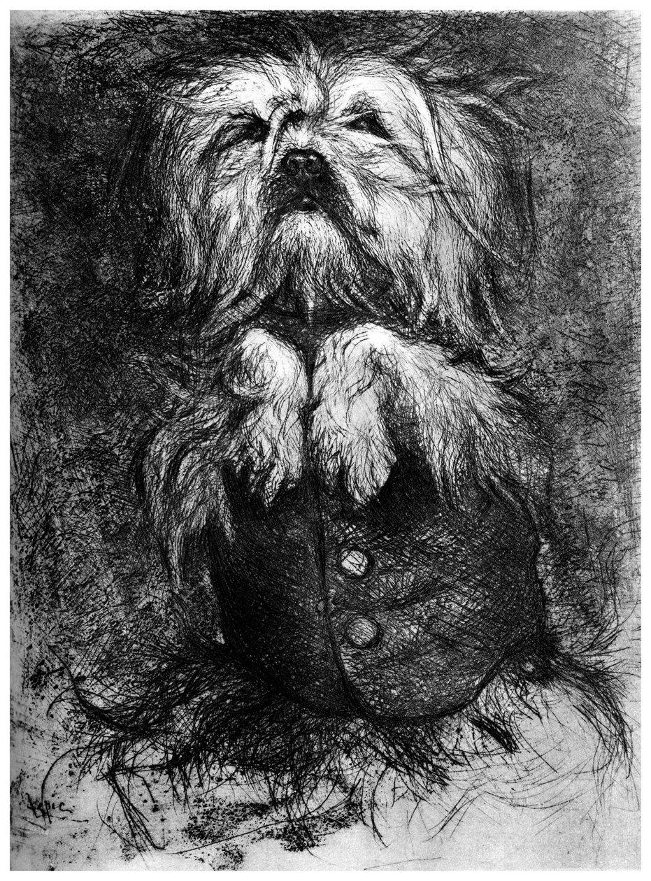 Lintrigant, c1859-1889, 1924 od Ludovic Lepic