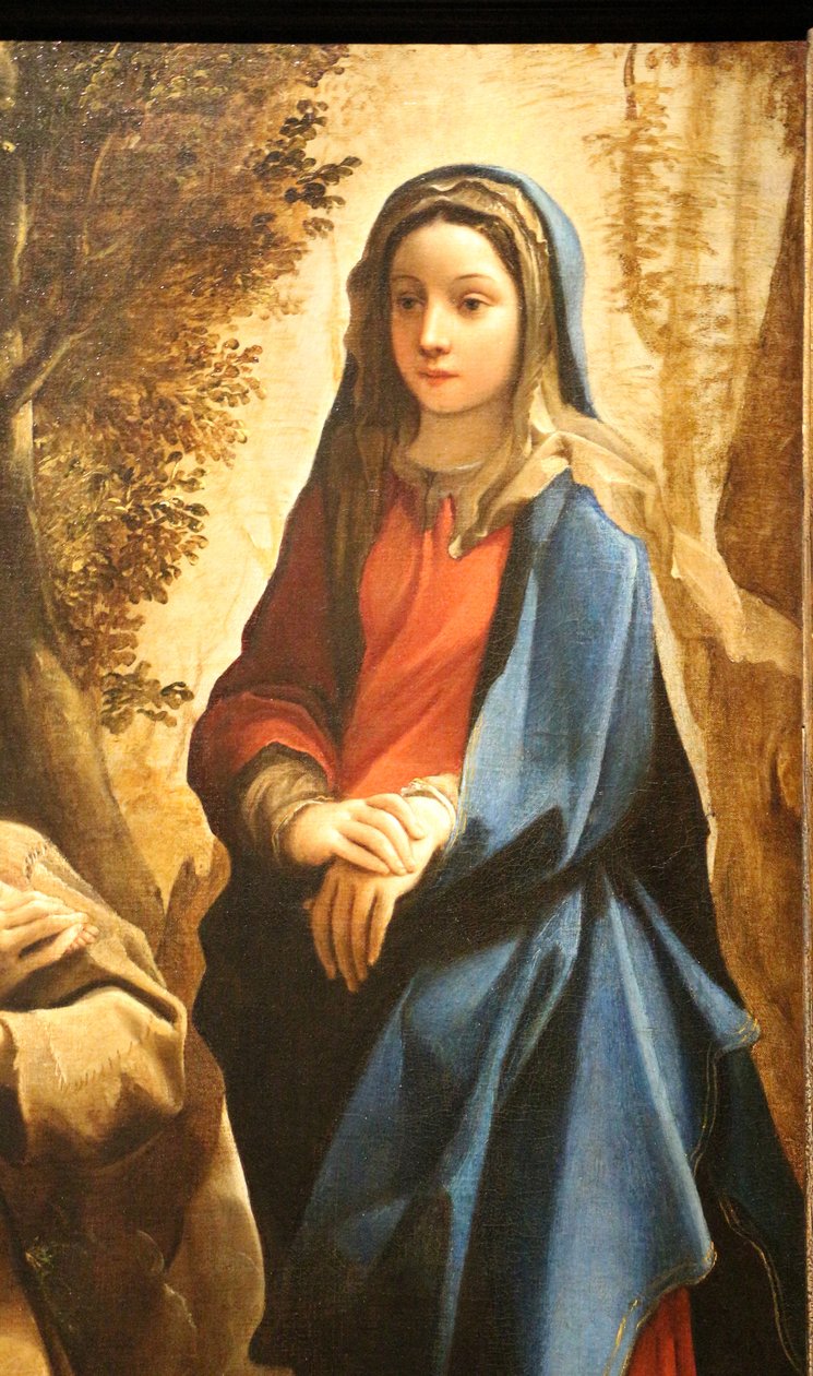 Nizozemsky: Vidění svatého Antonína Paduánského nebo svatého Františka z Assisi Vidění svatého Františka z Assisi od Ludovico Carracci