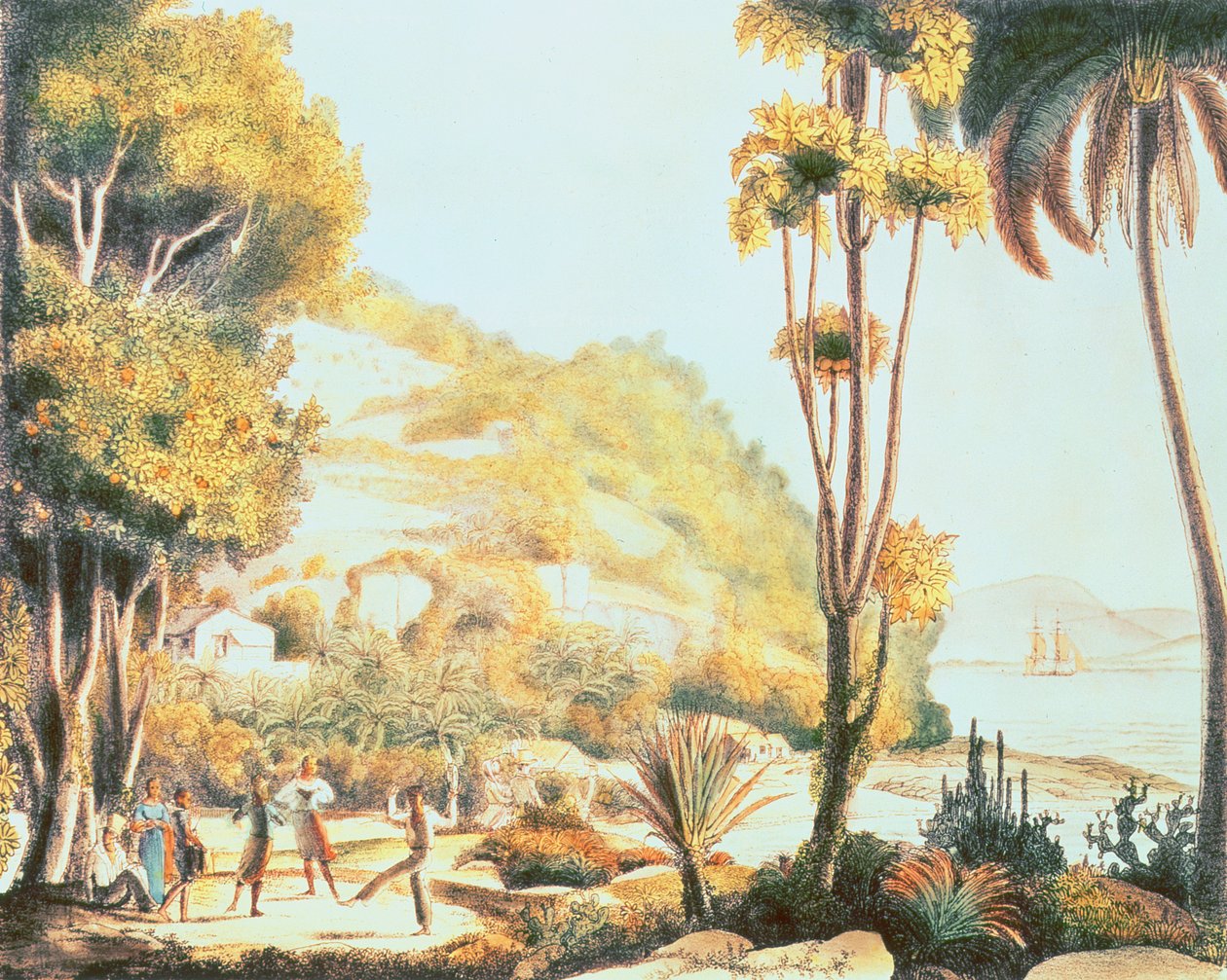 Pohled na pobřeží Brazílie naproti ostrovu Santa Catarina, c.1825 od Ludwig Choris