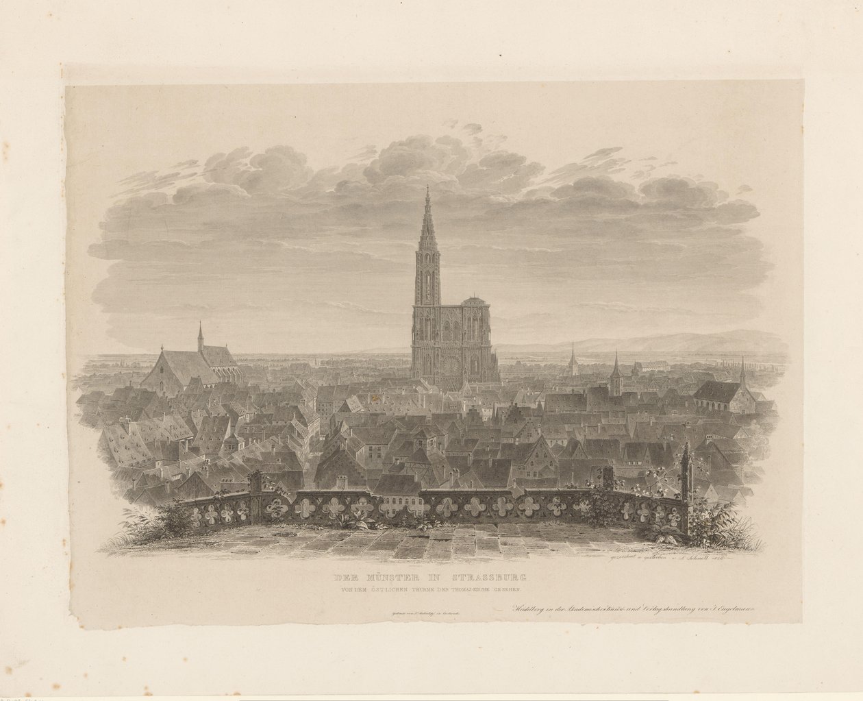 Portrét katedrály Straatsburg Minster ve Štrasburku při pohledu z východní věže Tomášského kostela (název na objektu) od Ludwig Friedrich Schnell