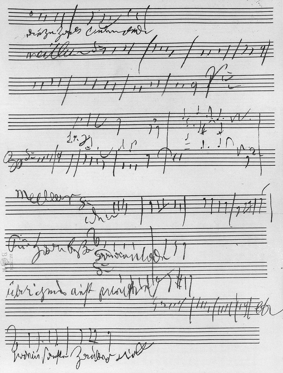 Ručně psané hudební skóre (inkoust na papíře) od Ludwig van Beethoven