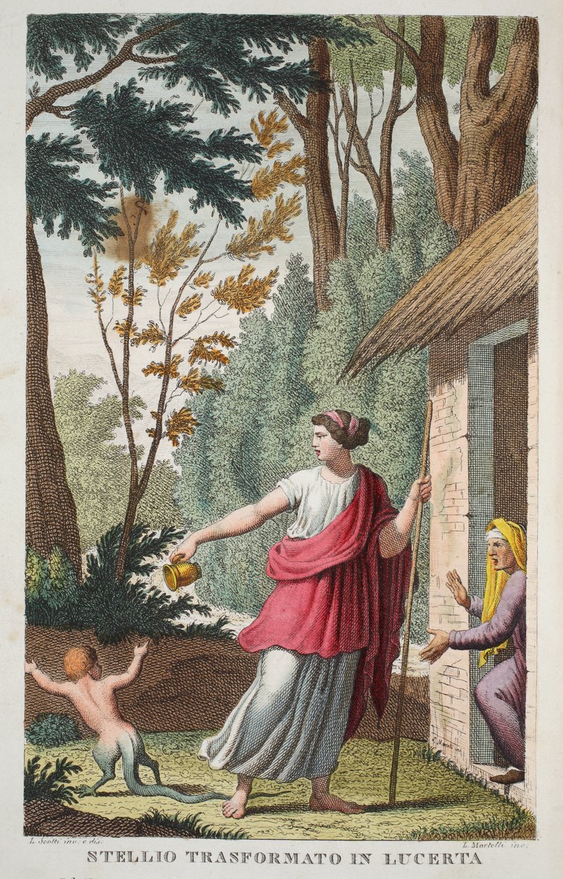 Chlapec do ještěrky nebo Ntellio Transformato v Lucertě, kniha V, ilustrace z Ovidiových metamorfóz, Florencie, 1832 (ručně kolorovaná rytina) od Luigi Ademollo