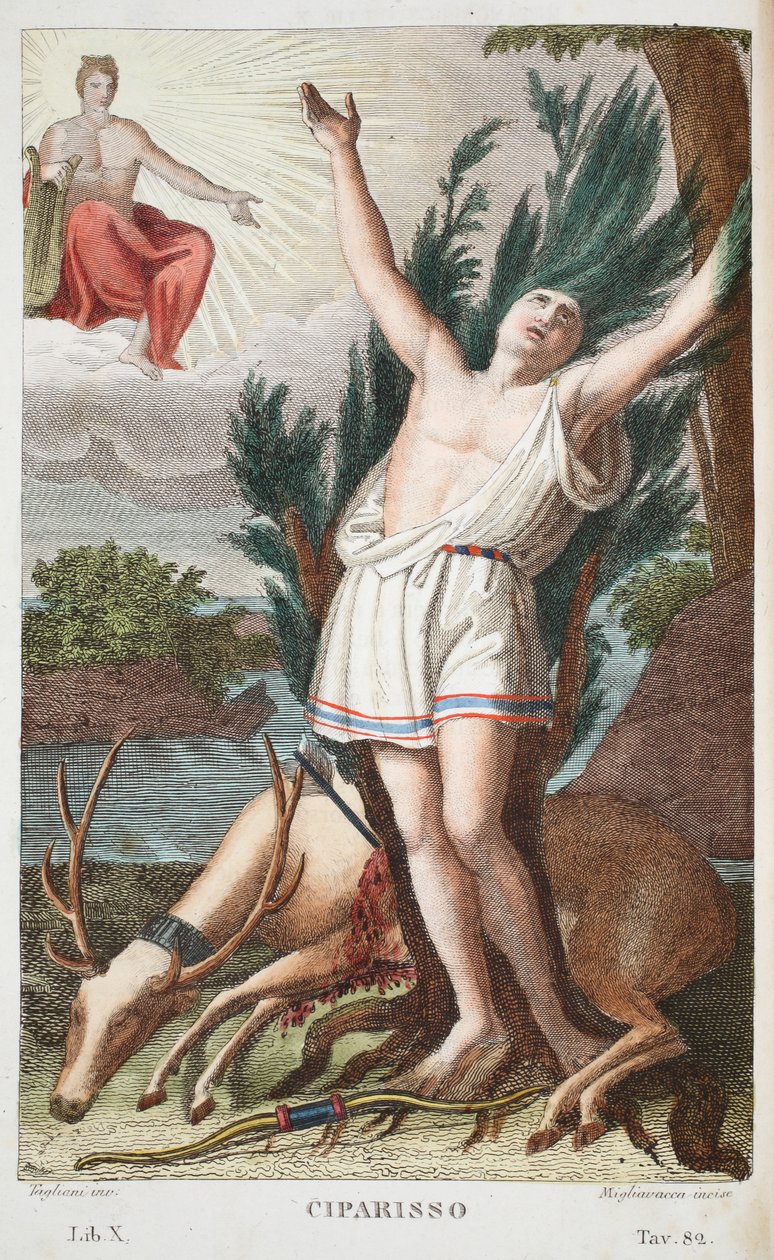 Cyparissus v strom neboli Ciparisso, kniha X, ilustrace z Ovidiových Metamorfóz, Florencie, 1832 (ručně kolorovaná rytina) od Luigi Ademollo