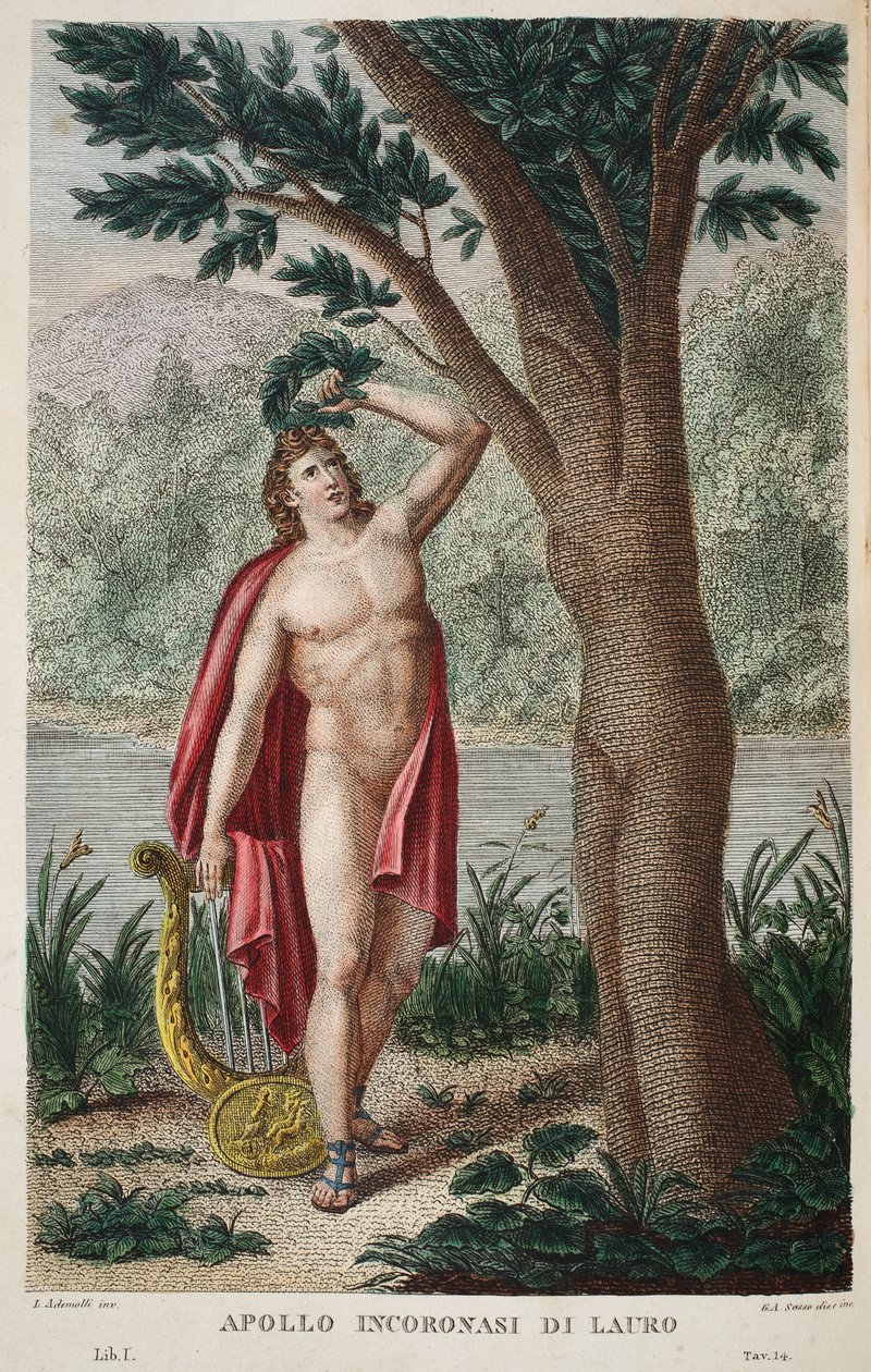 Daphne into a Laurel nebo Apollo Incoronasi de Lauro, ilustrace z Ovidiových Metamorphoses, Florencie, 1832 (ručně kolorovaná rytina) od Luigi Ademollo