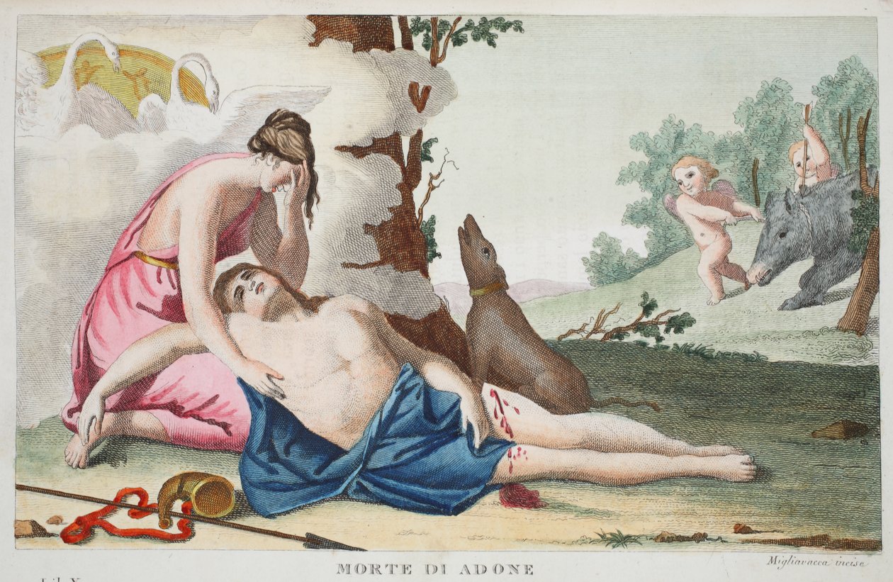 Adonisova smrt neboli Morte di Adone, kniha X, ilustrace z Ovidiových Metamorfóz, Florencie, 1832 (ručně kolorovaná rytina) od Luigi Ademollo