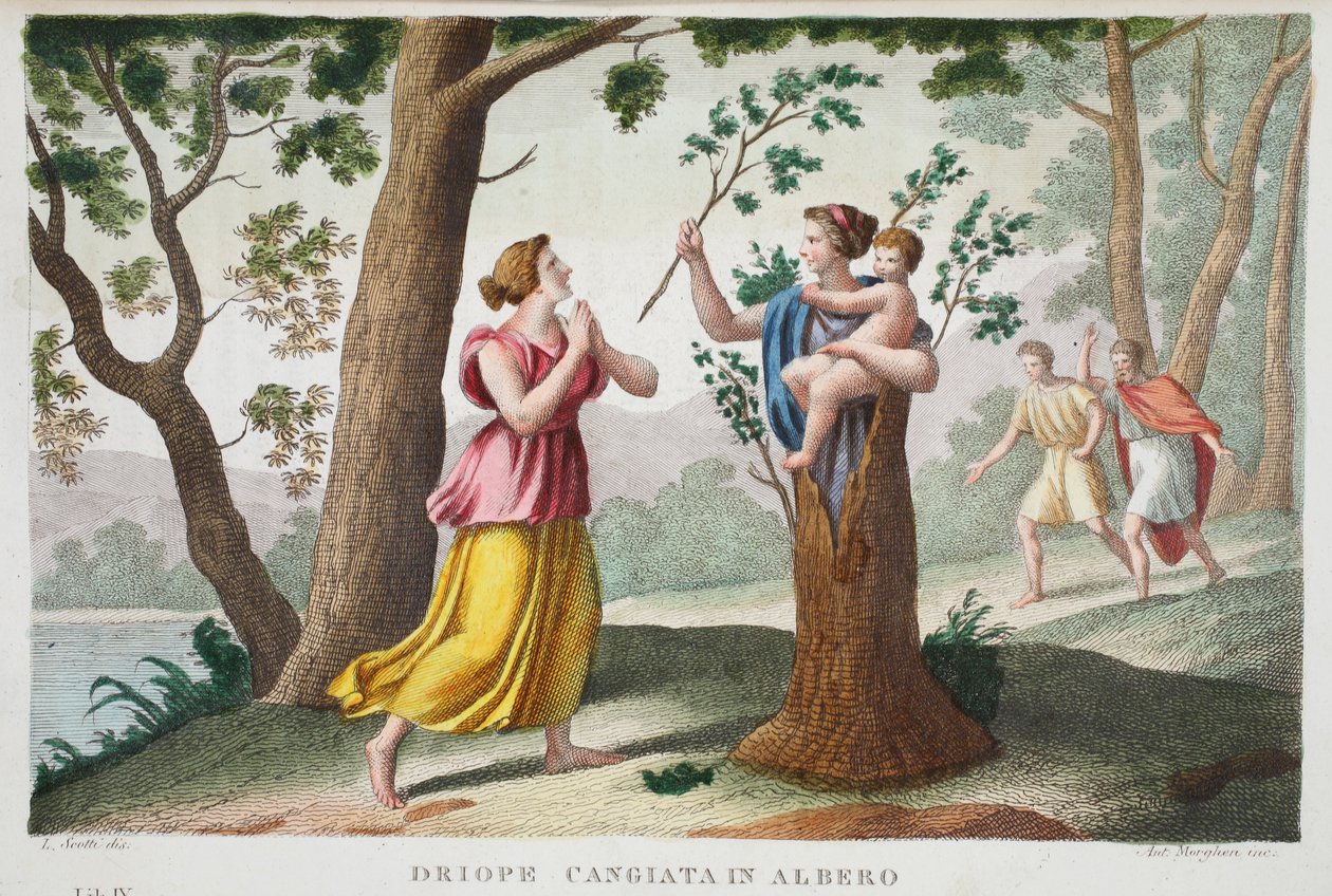 Dryope do stromu nebo Driope cangiata in albero, kniha IX, ilustrace z Ovidiových Metamorfóz, Florencie, 1832 (ručně kolorovaná rytina) od Luigi Ademollo