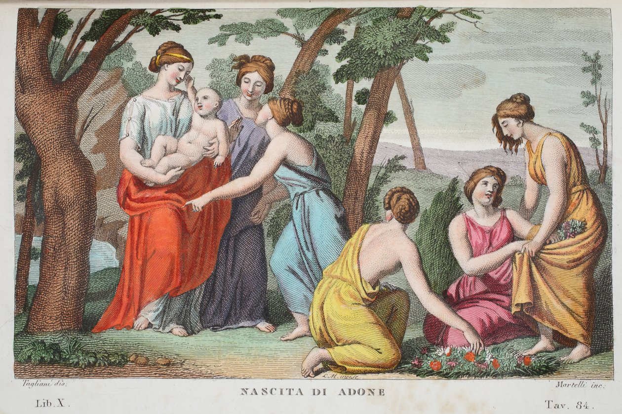 Narození Adonise neboli Nascita di Adone, Kniha X, ilustrace z Ovidiových Metamorfóz, Florencie, 1832 (ručně kolorovaná rytina) od Luigi Ademollo