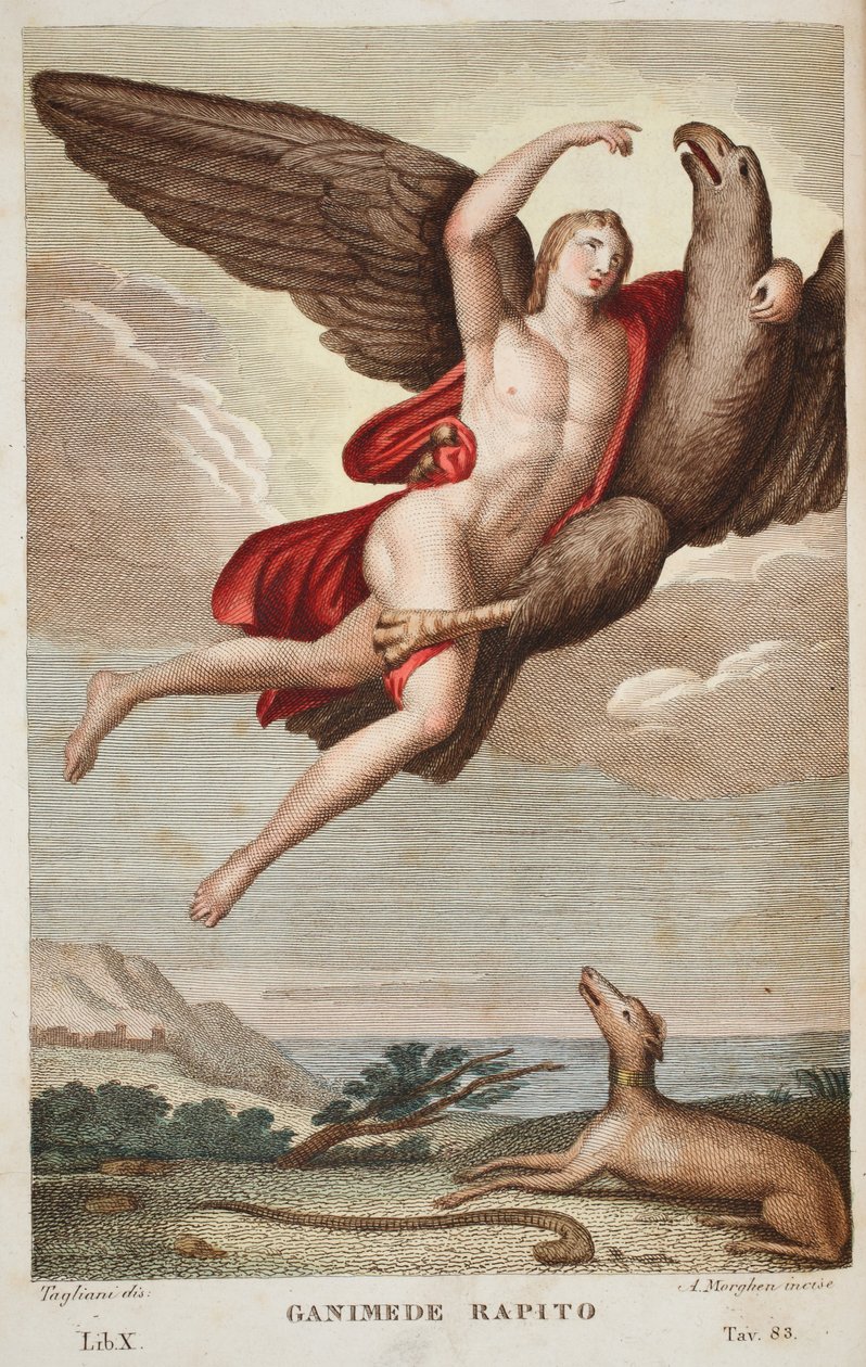 Ganymede odveden do nebe nebo Ganimede Rapito, Kniha X, ilustrace z Ovidiových Metamorfóz, Florencie, 1832 (ručně kolorovaná rytina) od Luigi Ademollo
