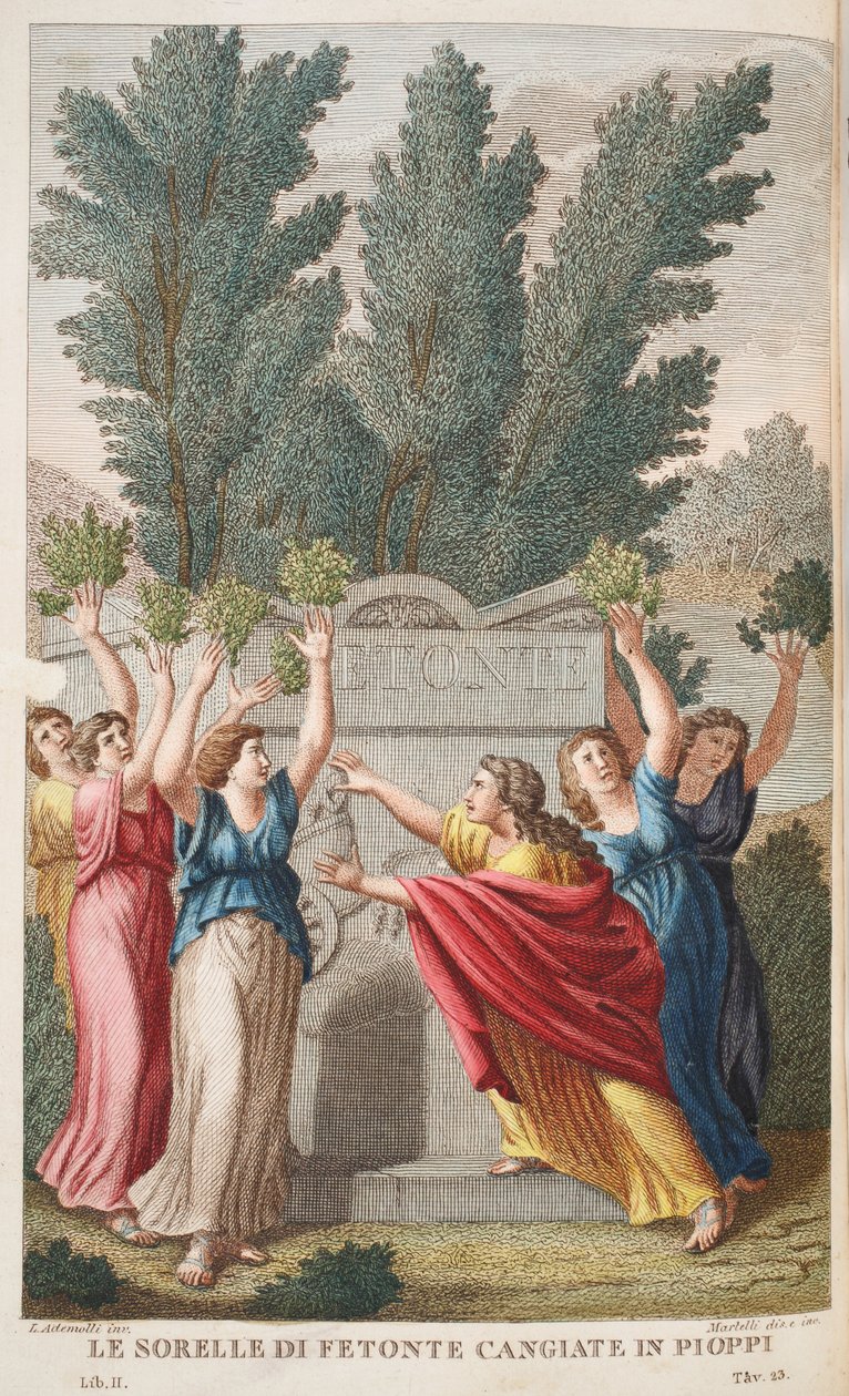 Heliády do stromů, které dávají Amber nebo Le Sorelle di Fetonte Cangiante v Pioppi, ilustrace z Ovidiových metamorfóz, Florencie, 1832 (ručně kolorovaná rytina) od Luigi Ademollo