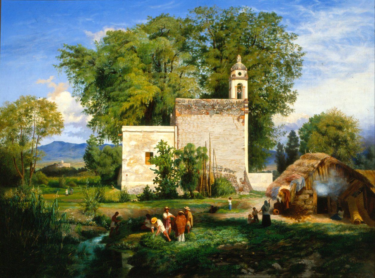 Krajina San Cristóbal Romita od Luis Coto