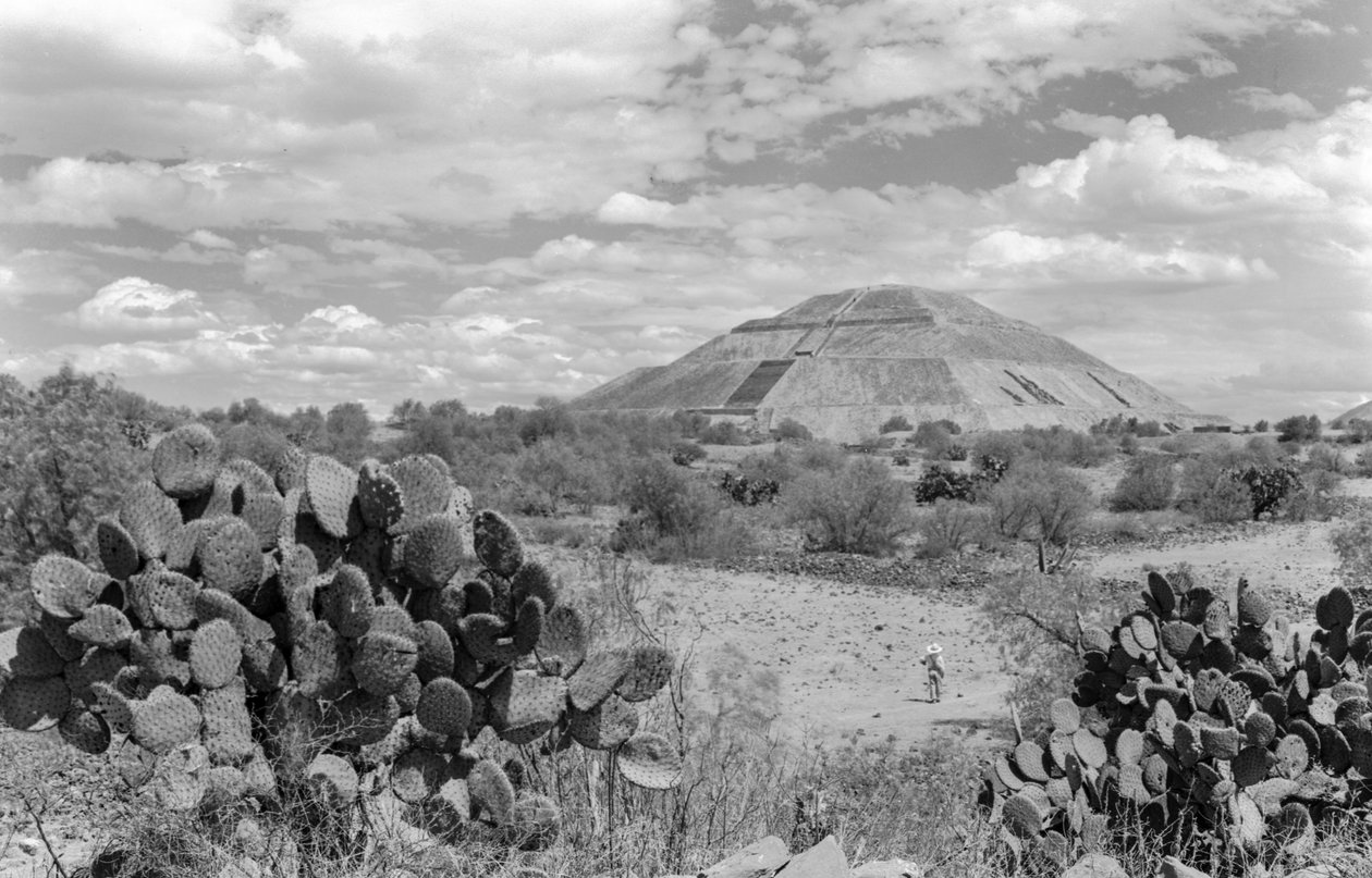 Mayská monumentální pyramida, poloostrov Yucatán. 1936 od Luis Marden