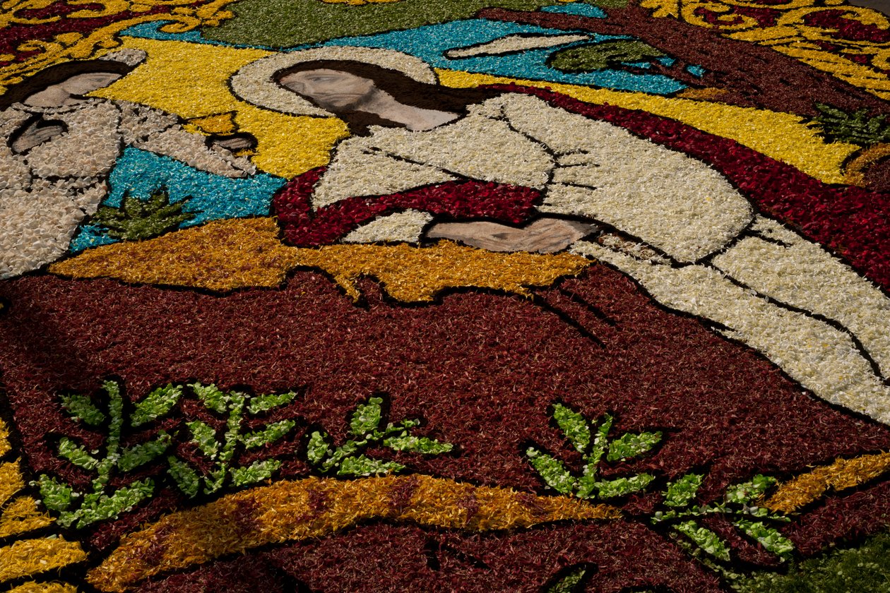 Svatý týden Surco Flower Carpet, Lima, Peru, 2015. od Luis Rosendo.