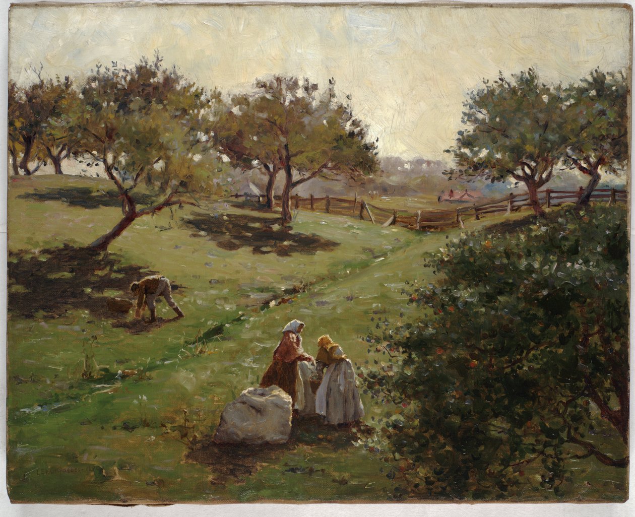 Jabloňový sad, 1892 od Luther Emerson van Gorder