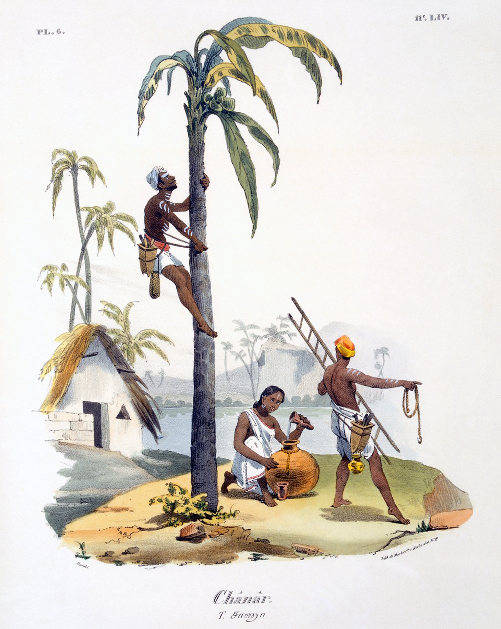 Muž z kasty Nadar šplhající na palmu, 1827-35 od M.E. Burnouf