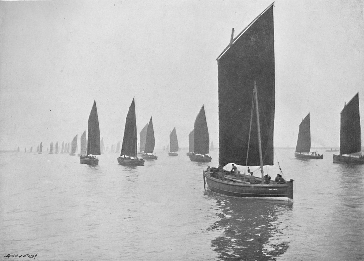 Sleďové lodě z Tyne, c1896 od M. Aunty