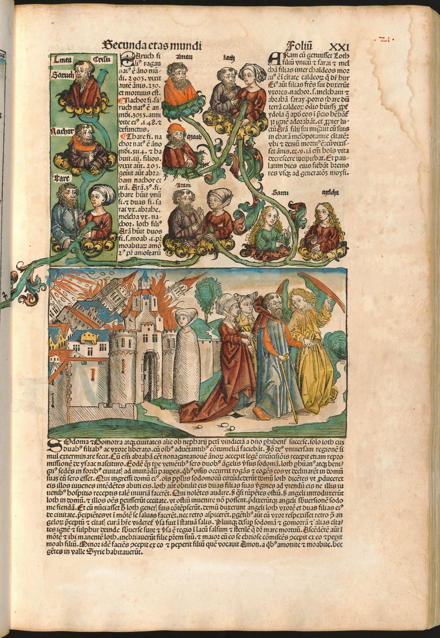 Genealogický strom Laban, z Norimberské kroniky od Hartmanna Schedela (1440-1514) vytištěný v roce 1493 (dřevořez) od M. and Pleydenwurff W. Wolgemuth