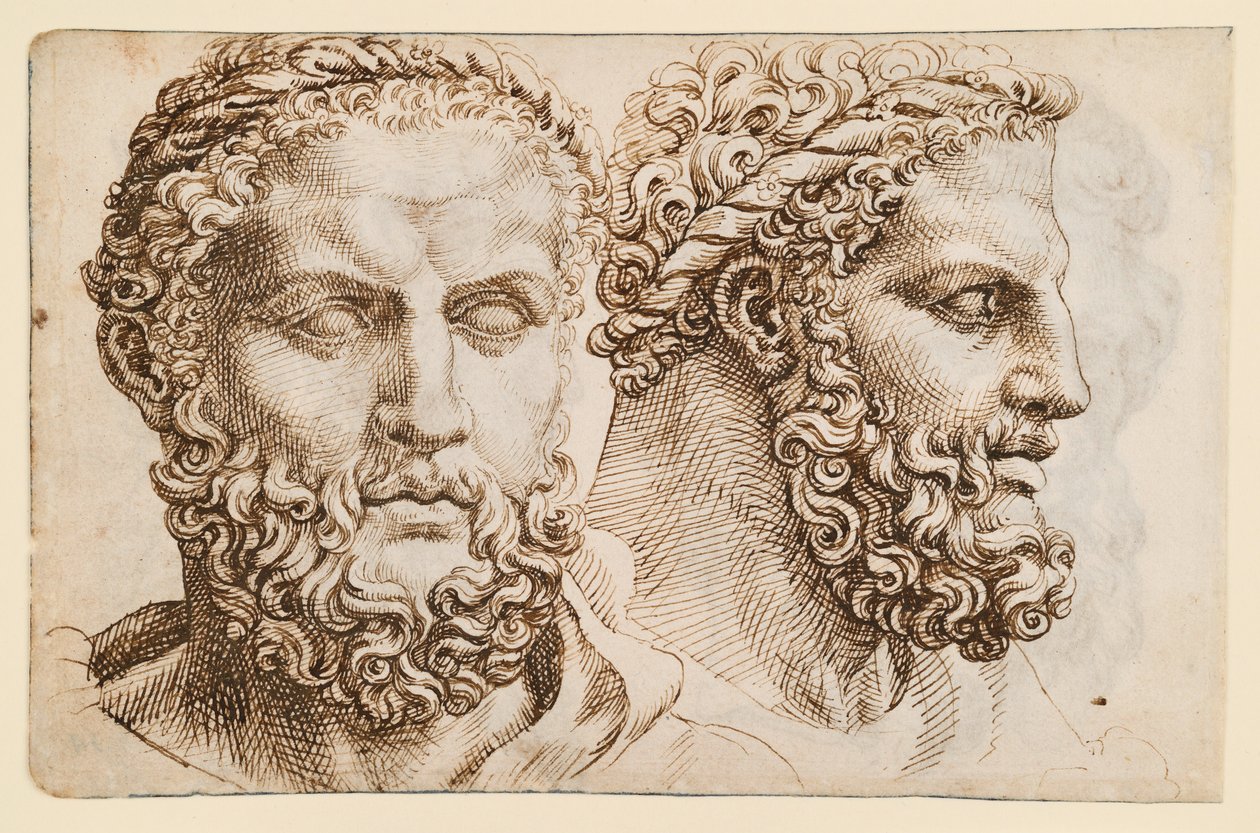Dvě studie podle hlavy vatikánského „Herkula“ od Maarten van Heemskerck