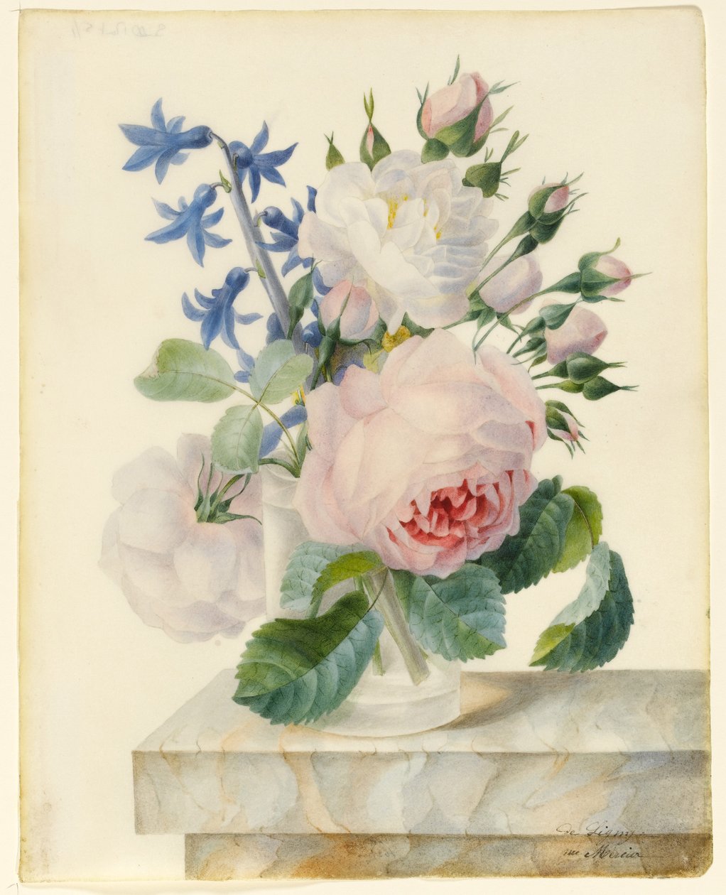 Váza obsahující Centifolia a Alba Rose, s poupaty a hyacintem na mramorovém parapetu (grafit a wc na pergamenu) od Madame de Ligny