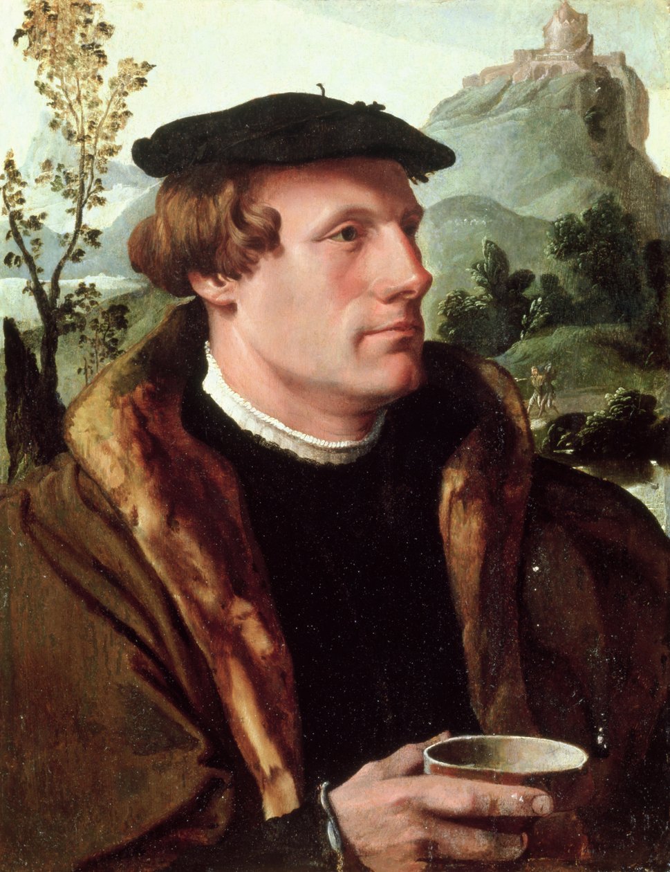 Portrét gentlemana od Maerten van Heemskerck