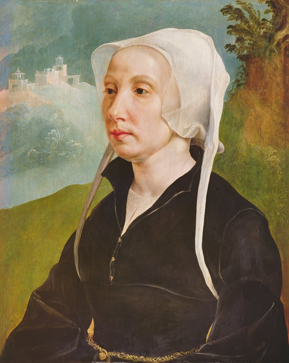 Portrét ženy (olej na desce) od Maerten van Heemskerck