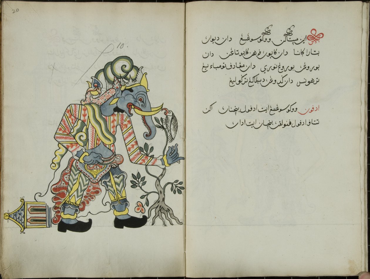 Kurkuma Java, MS 41 s. 20, obrázek 10, 1830 od Malay Malay