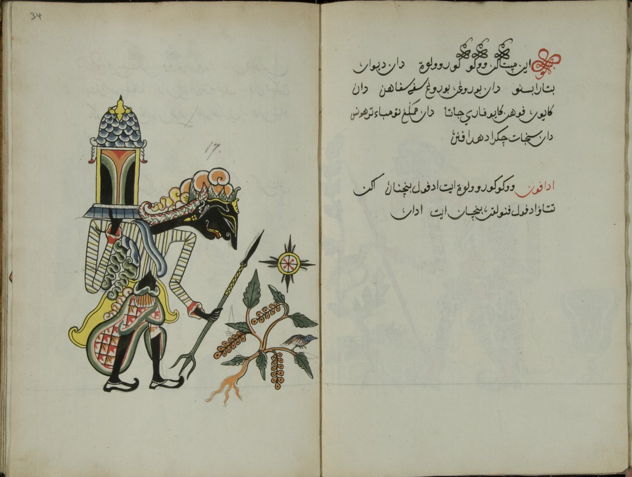 Kurkuma Java, MS 41 s. 34, obrázek 17, 1830 od Malay Malay