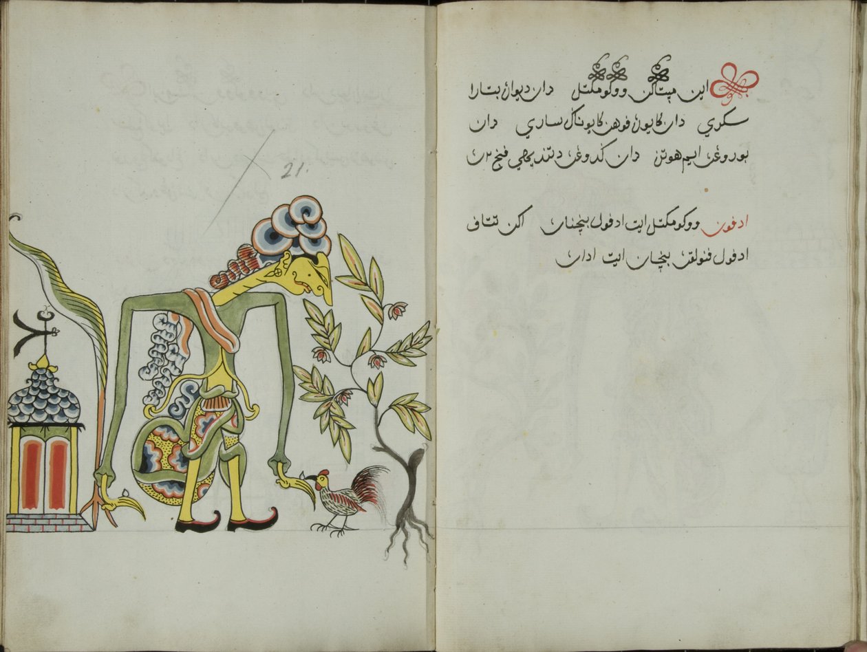 Kurkuma Java, MS 41 s. 42, obrázek 21, 1830 od Malay Malay