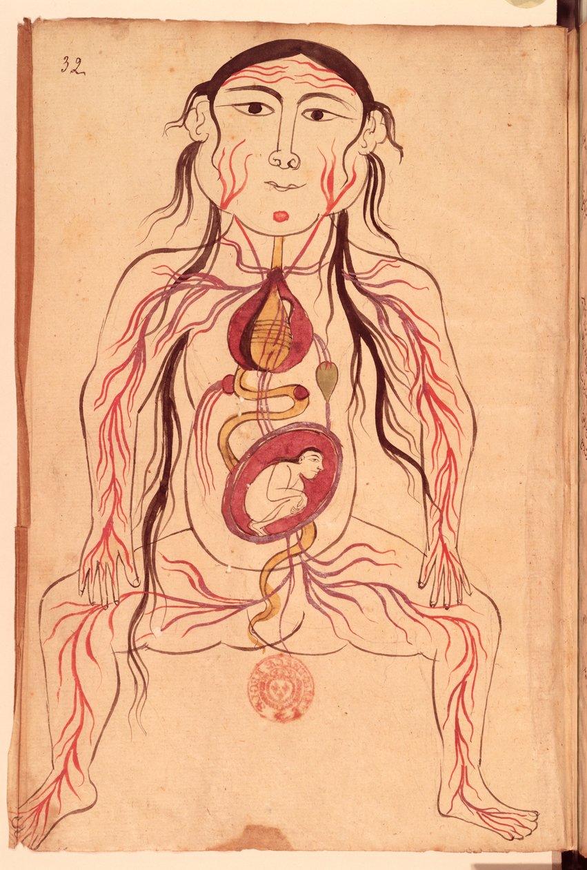 Paní Persan 151 Fol.32 Anatomický diagram ženy a jejího plodu od Mansour b. Eliyas Chirazi