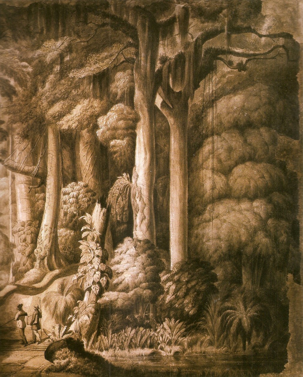 Detail brazilského lesa od Manuel Araújo de Porto Alegre