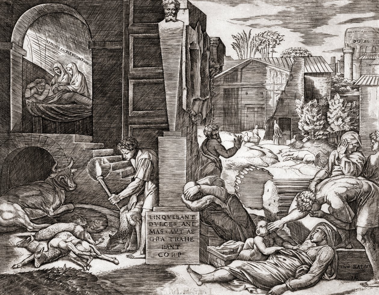 Mor (rytina) od Marcantonio (after) Raimondi