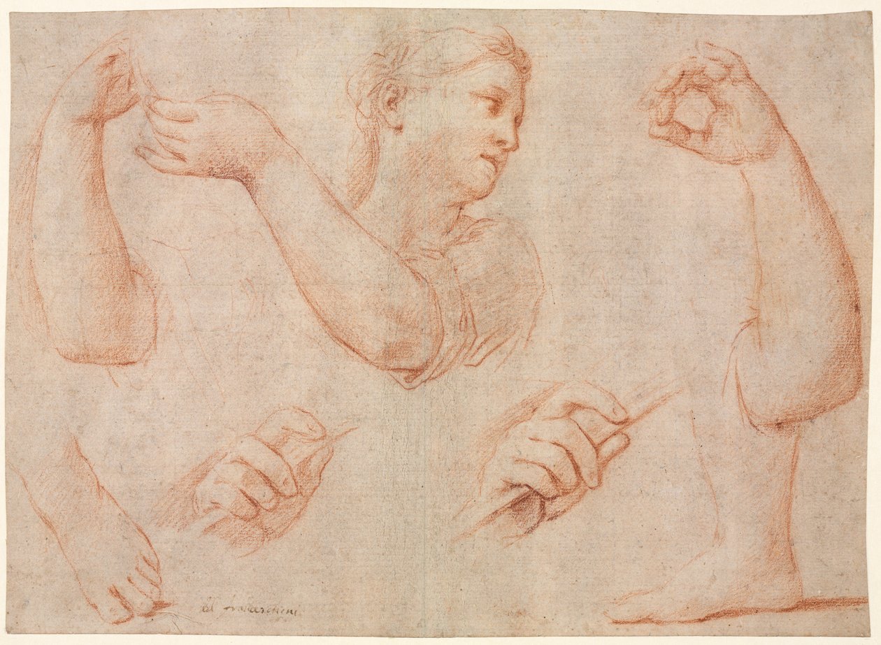 Studie mladé ženy při hře na tamburínu a studie paží, rukou a nohou..., c. 1711. od Marcantonio Franceschini