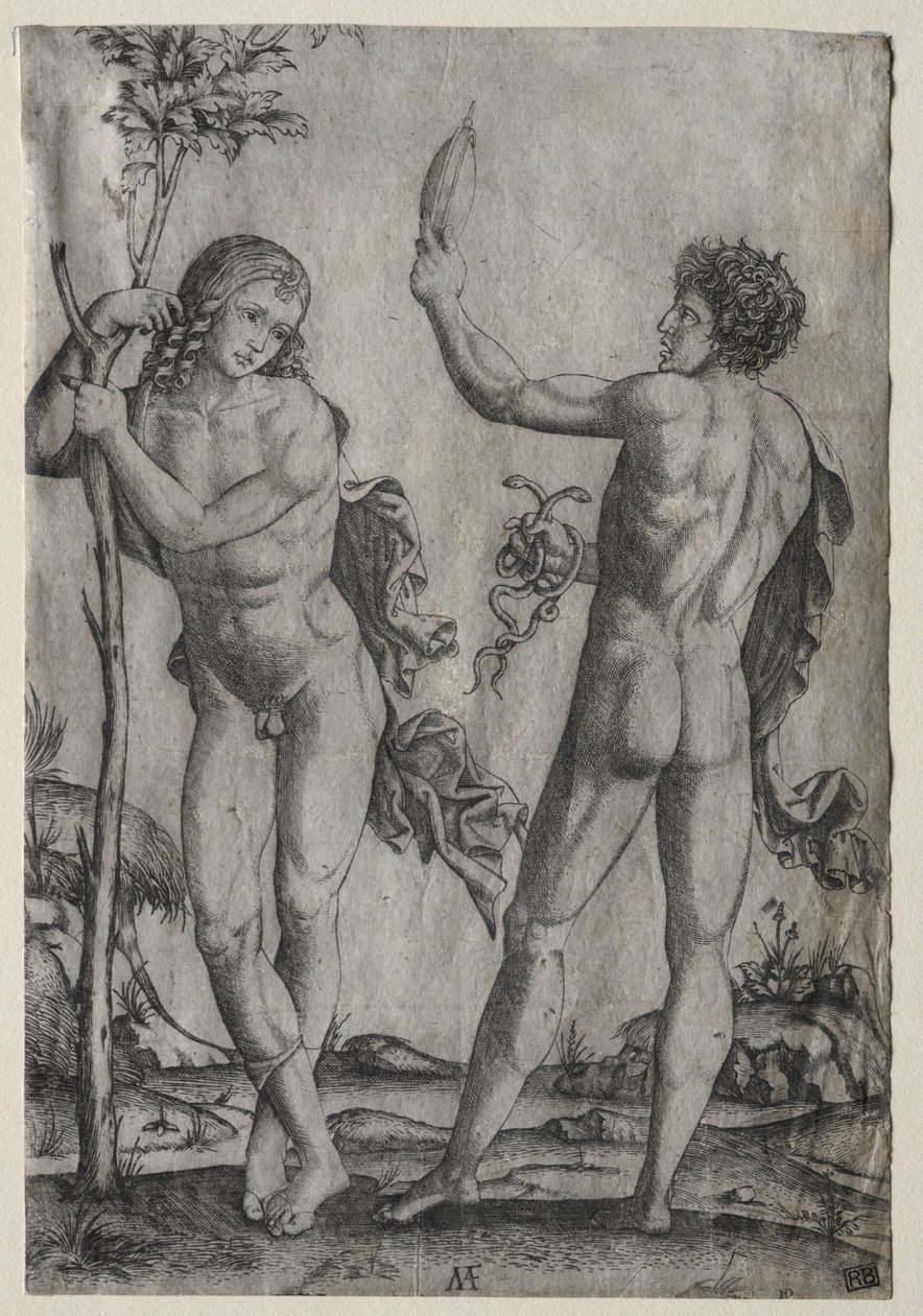 Dva nahí muži vedle stromu. od Marcantonio Raimondi