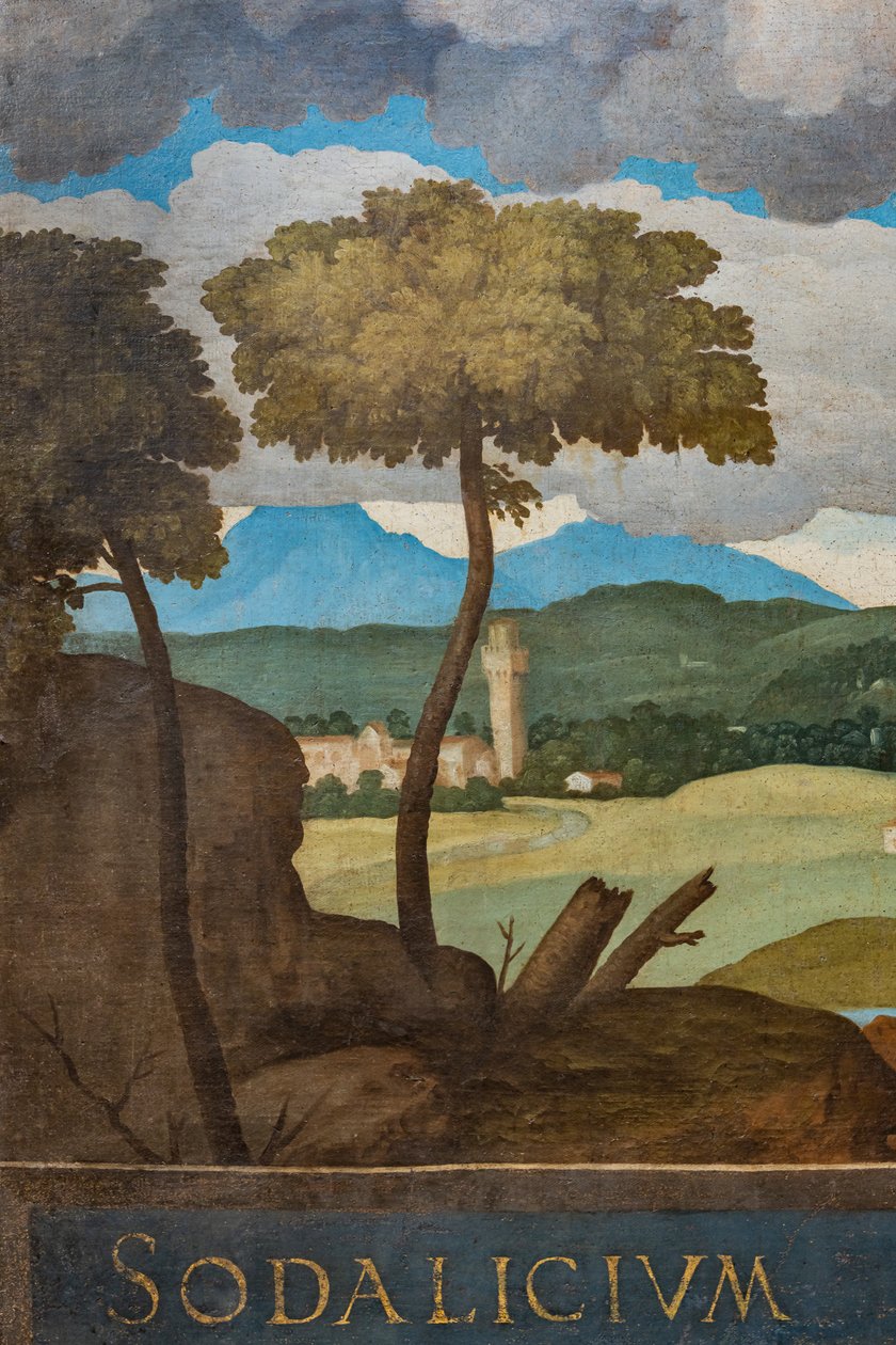 Detail města Vicenza od Marcello Fogolino