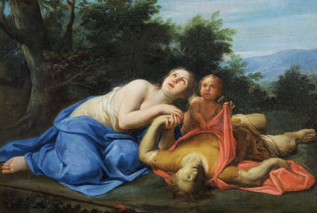 Unbekanntes Bild od Marcantonio Franceschini