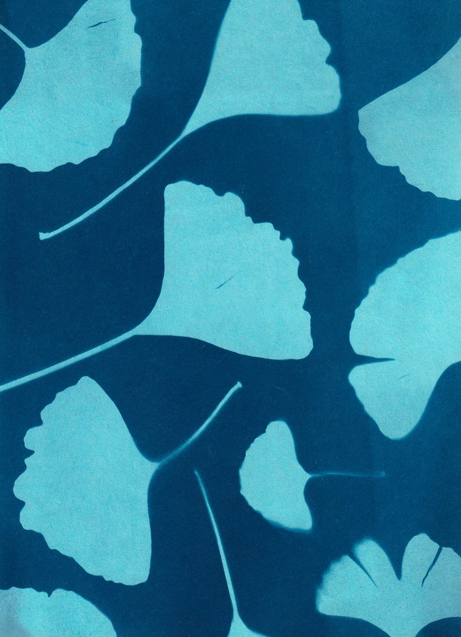 Ginkgo biloba 146, 2023 (kyanotypie, kombinovaná technika) od Marco Campedelli