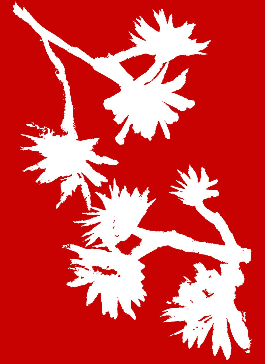 Succulent_1, 2022 (tuš na papíře) od Marco Campedelli