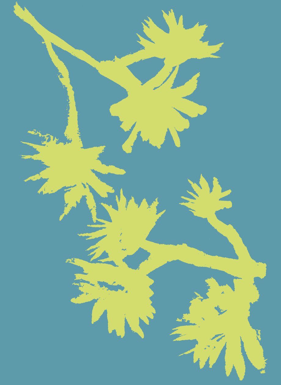 Succulent_2, 2022 (tuš na papíře) od Marco Campedelli