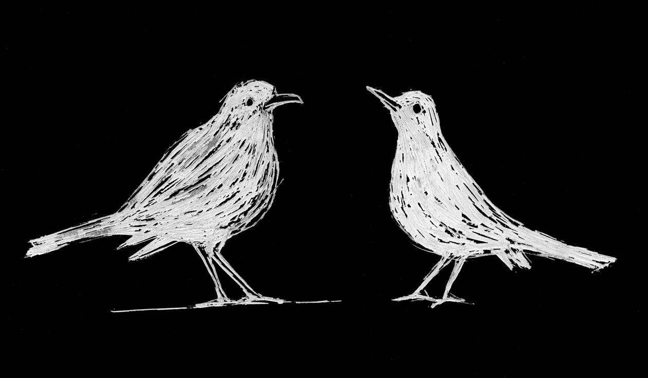 Dva bílí kosi, 2017 (scratchboard na papíře) od Marco Campedelli