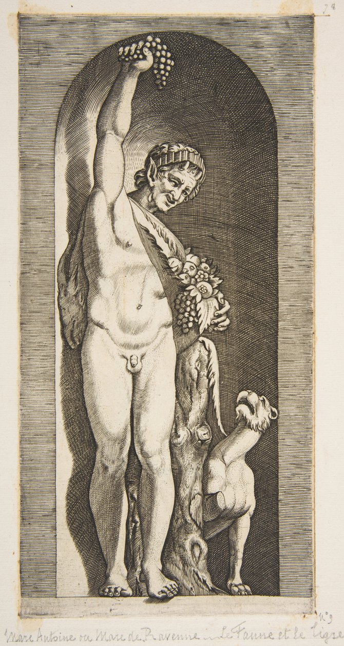 Faun stojící ve výklenku drží pravou rukou hrozen a ..., ca. 1515-27. od Marco Dente