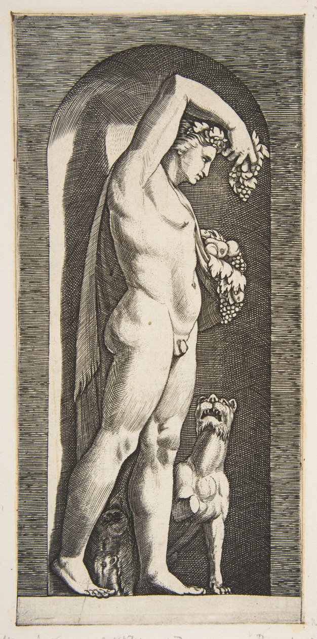 Bakchus stojící ve výklenku drží hrozny ve zvednuté pravici, ovoce v l..., ca. 1515-27. od Marco Dente
