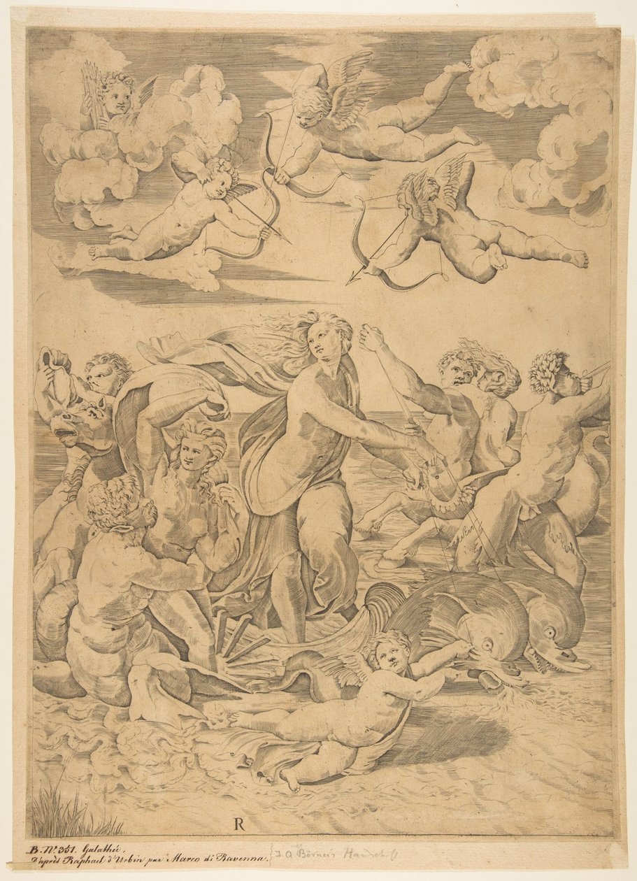Galatea jedoucí ve skořápce tažené vodou delfíny, amor dole a f..., ca. 1515-27. od Marco Dente