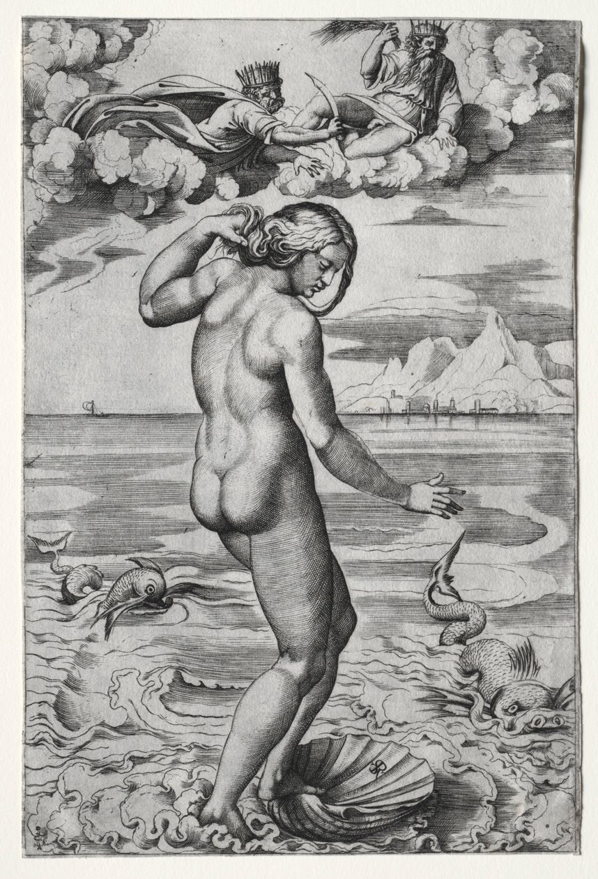 Zrození Venuše , c. 1516. od Marco Dente