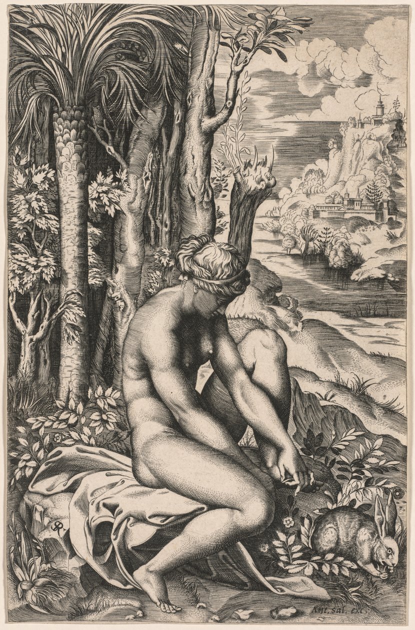 Venuše zraněná trnem růže, c. 1516. od Marco Dente