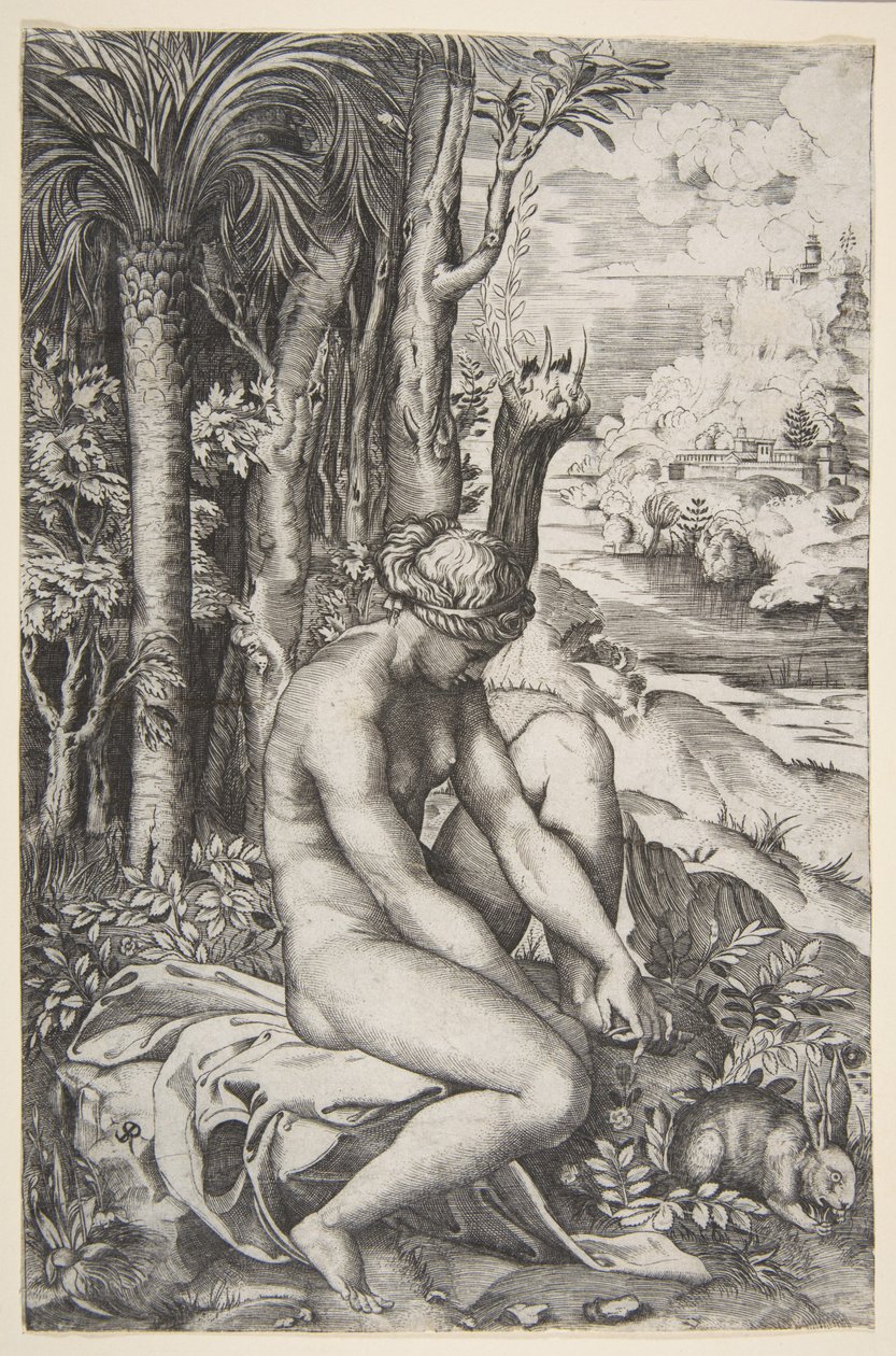 Venuše si sundala trn z levé nohy, když seděla na látce vedle stromů, ..., ca. 1515-27. od Marco Dente