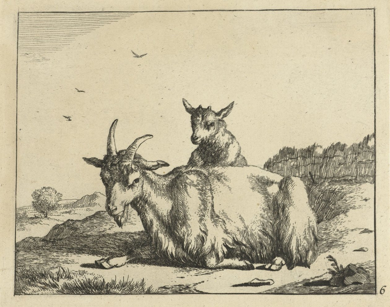Ležící koza s jehněčím Goats and Bucks (název série) od Marcus de Bye