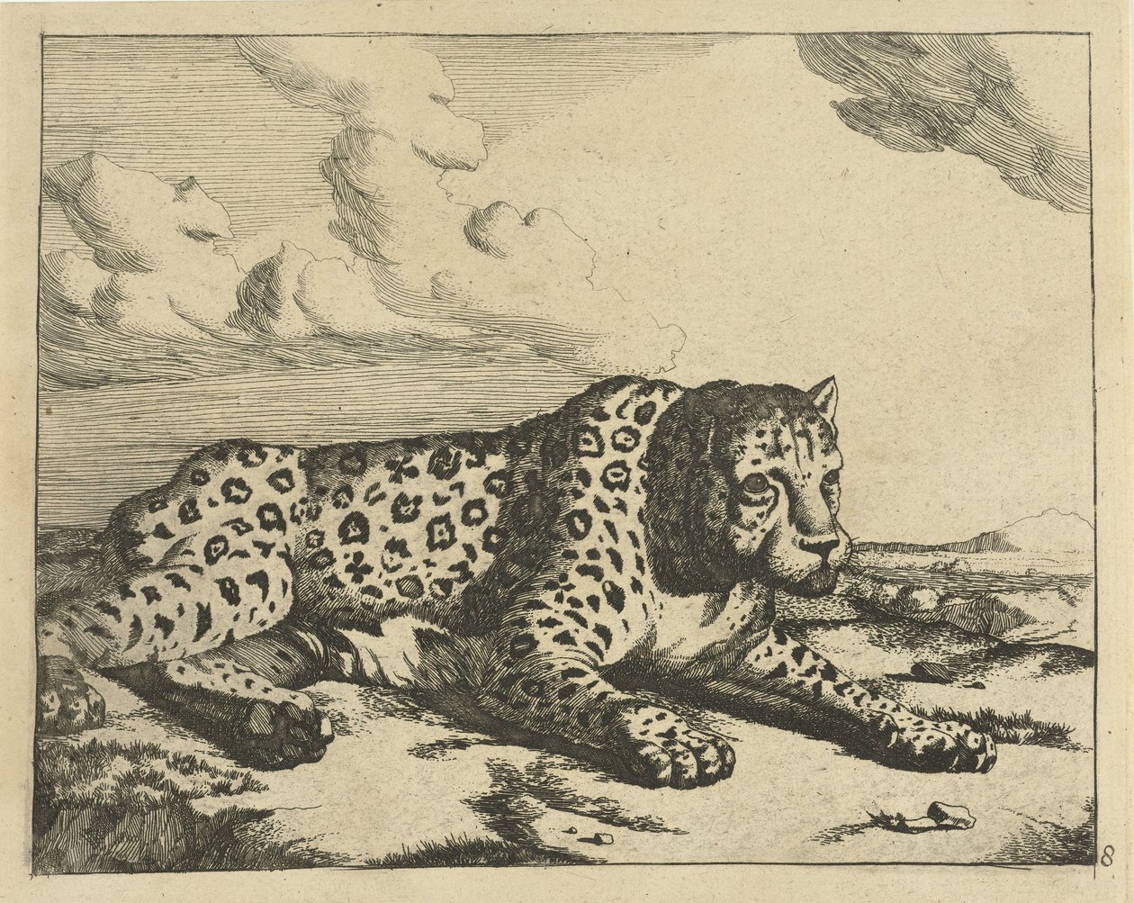 Leopard ležící vpravo, tlapy k divákovi Leopardi (název série) od Marcus de Bye