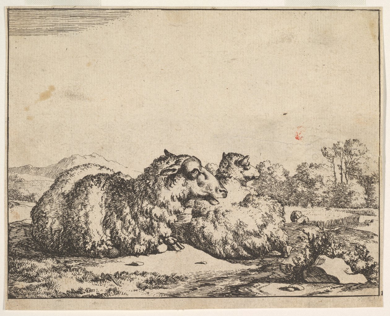 Ovce, ze sady 16 talířů, 1664. od Marcus de Bye